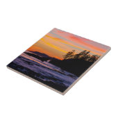 Canada, Pacific Rim National Park Reserve, West Tegeltje (Zijkant)