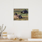 Canada Poster (Keuken)