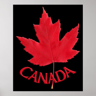 Canada Poster Canada Maple Leaf Souvenir Print