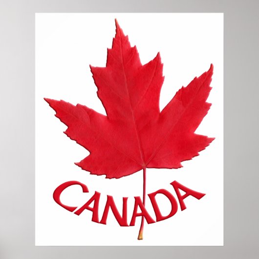 Canada Poster Canada Maple Leaf Souvenir Print (Voorkant)