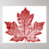 Canada Poster Canada Maple Leaf Souvenir Print (Voorkant)