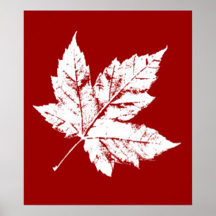 Canada Poster Canada Maple Leaf Souvenir Print