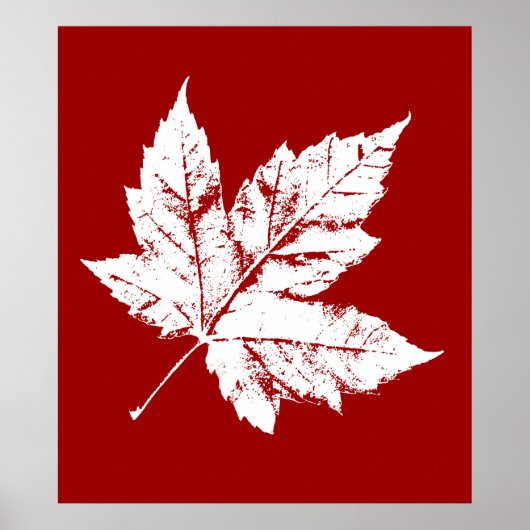 Canada Poster Canada Maple Leaf Souvenir Print (Voorkant)