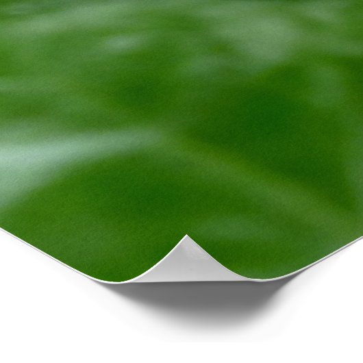 Canada Poster Canada Maple Leaf Souvenir Print (Hoek)