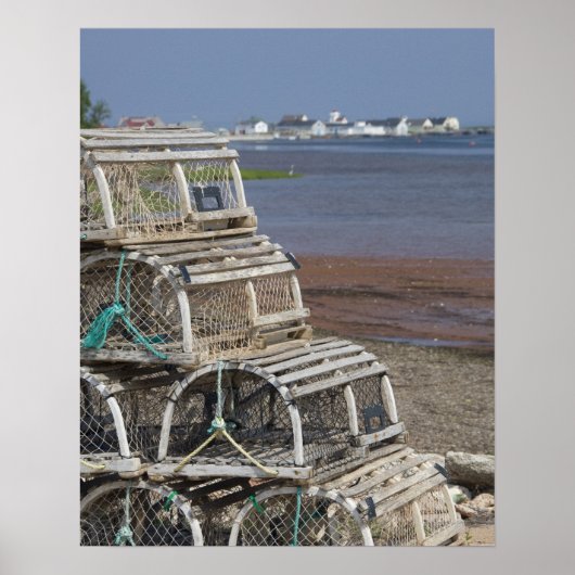 Canada, Prince Edward Island, Rustico. Kreeft Poster (Voorkant)