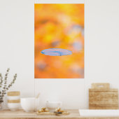 Canada, Quebec | Behoudspark St.-Bruno Poster (Keuken)