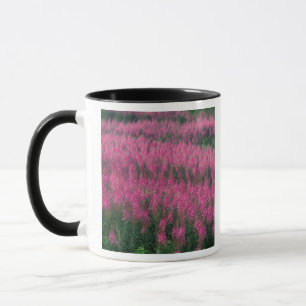 Canada, Quebec, Gaspe. Paarse Lythrum Bloemen, Mok