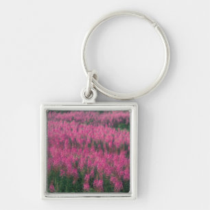 Canada, Quebec, Gaspe. Paarse Lythrum Bloemen, Sleutelhanger