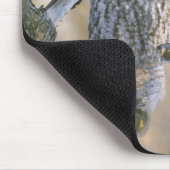 Canada, Quebec. Grote grijze uil op de boom Muismat (Hoek)