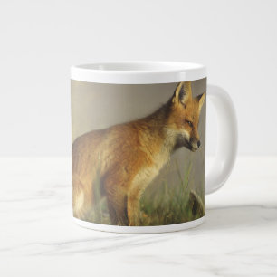 Canada, Quebec. Rode vos jong bij zonsopgang Grote Koffiekop