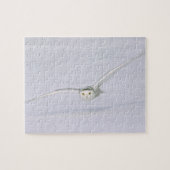 Canada, Quebec. Snowy owl vliegt laag over sneeuw. Legpuzzel (Horizontaal)