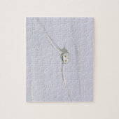 Canada, Quebec. Snowy owl vliegt laag over sneeuw. Legpuzzel (Verticaal)