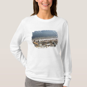 Canada, Quebec. VIA Rail Canada trein De T-shirt