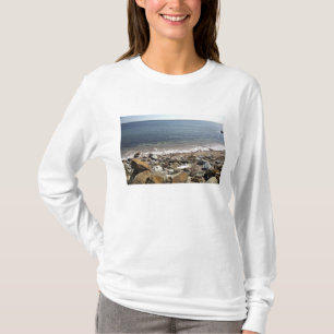 Canada, Quebec. VIA Rail Canada trein De T-shirt