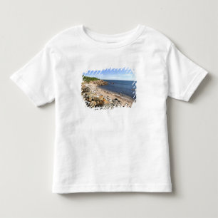 Canada, Quebec. VIA Rail Canada trein The 2 Kinder Shirts