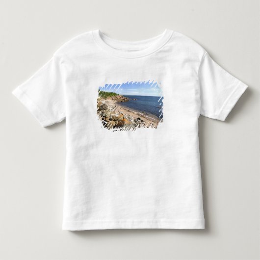 Canada, Quebec. VIA Rail Canada trein The 2 Kinder Shirts (Voorkant)