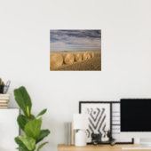 Canada, Saskatchewan, Craik: Hayrolls/Autumn Poster (Thuiskantoor)
