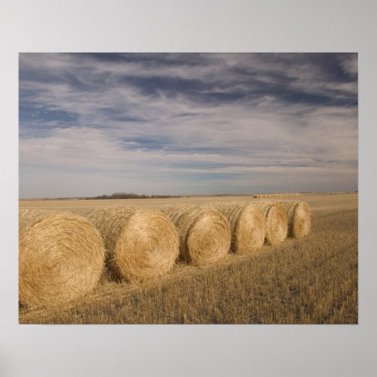 Canada, Saskatchewan, Craik: Hayrolls/Autumn Poster (Voorkant)