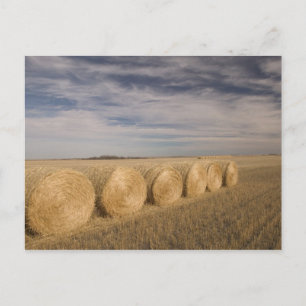 Canada, Saskatchewan, Craik: Hooibalen / Herfst Briefkaart