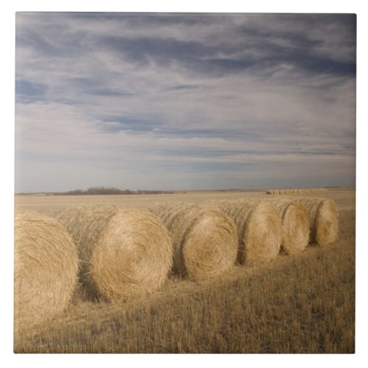 Canada, Saskatchewan, Craik: Hooibalen / Herfst Tegeltje (Voorkant)