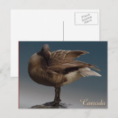 Canada Souvenir Briefkaarten Canada Gese Cards (Voorkant / Achterkant)