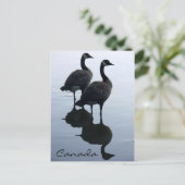 Canada Souvenir Briefkaarten Canada Gese Cards (Staand voorkant)