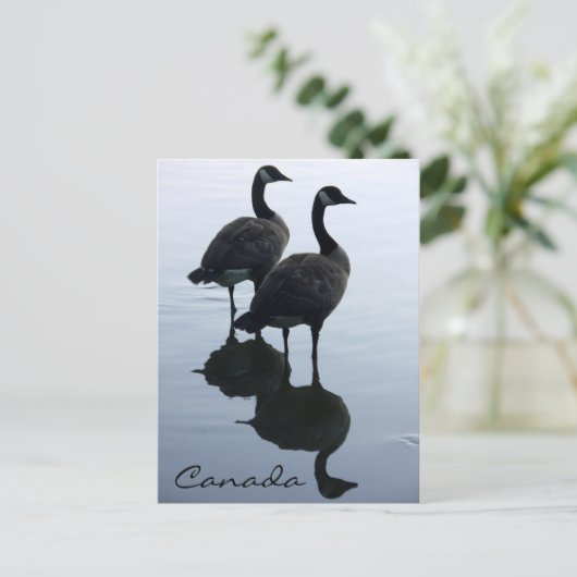 Canada Souvenir Briefkaarten Canada Gese Cards (Staand voorkant)