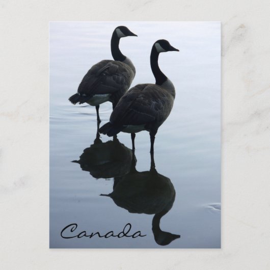 Canada Souvenir Briefkaarten Canada Gese Cards (Voorkant)