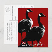 Canada Souvenir Briefkaarten Canada Gese Kaarten (Voorkant / Achterkant)
