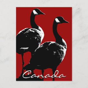 Canada Souvenir Briefkaarten Canada Gese Kaarten