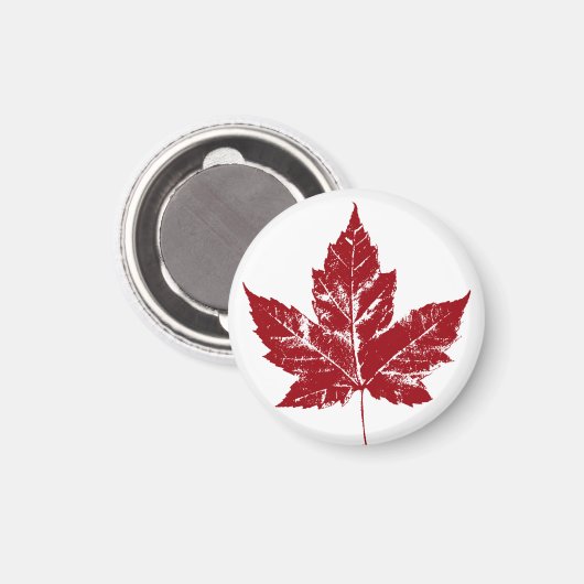 Canada Souvenir Fridge Magnet Canada Maple Leaf (Voorkant / Achterkant)