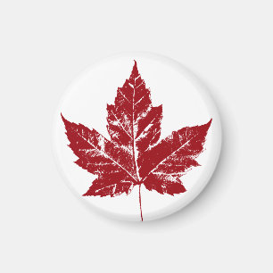Canada Souvenir Fridge Magnet Canada Maple Leaf