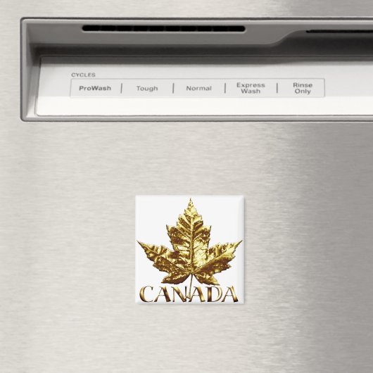Canada Souvenir Fridge Magnet Gold Canada Gift (Insitu (Vaatwasser))