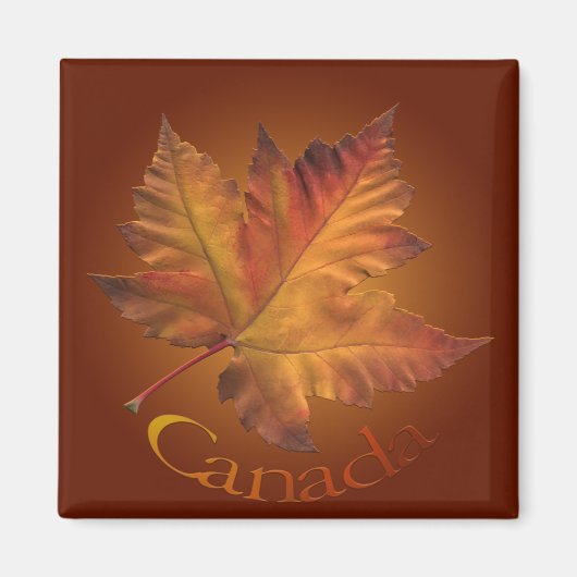 Canada Souvenir Fridge Magnet Maple Leaf Magnet (Voorkant)