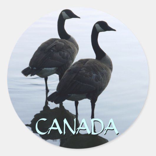 Canada Souvenir Stickers Canada Goose Stickers (Voorkant)