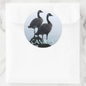 Canada Souvenir Stickers Canada Goose Stickers (Tas)