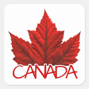 Canada Souvenir Stickers Red Maple Leaf Stickers