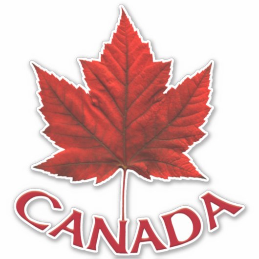 Canada Souvenir Stickers Red Maple Leaf Stickers (Voorkant)