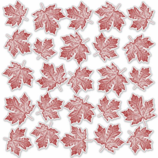 Canada stickers Esdoornblad Raamsticker Stickers (Voorkant)