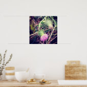 Canada Thistle Poster (Keuken)