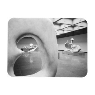 CANADA, Toronto: Kunstgalerie van Ontario (AGO) Magneet