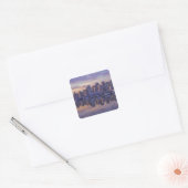 Canada, Vancouver, Brits-Columbia. Vancouver Vierkante Sticker (Envelop)