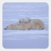 Canada Vierkante Sticker (Voorkant)