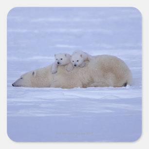 Canada Vierkante Sticker