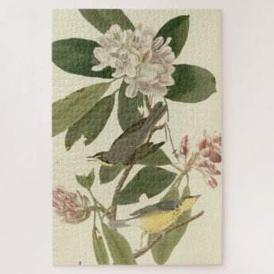 Canada Warbler uit Audubon's Birds of America Legpuzzel