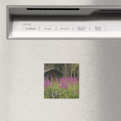 Canada, Yukon, Ross River Area, verlaten cabine Magneet (Insitu (Vaatwasser))