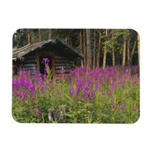 Canada, Yukon, Ross River gebied, Verlaten hut Magneet