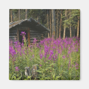 Canada, Yukon, Ross River gebied, Verlaten hut Magneet