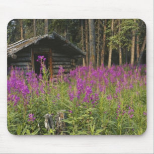 Canada, Yukon, Ross River gebied, Verlaten hut Muismat