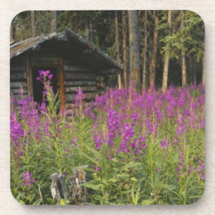 Canada, Yukon, Ross River gebied, Verlaten hut Onderzetter
